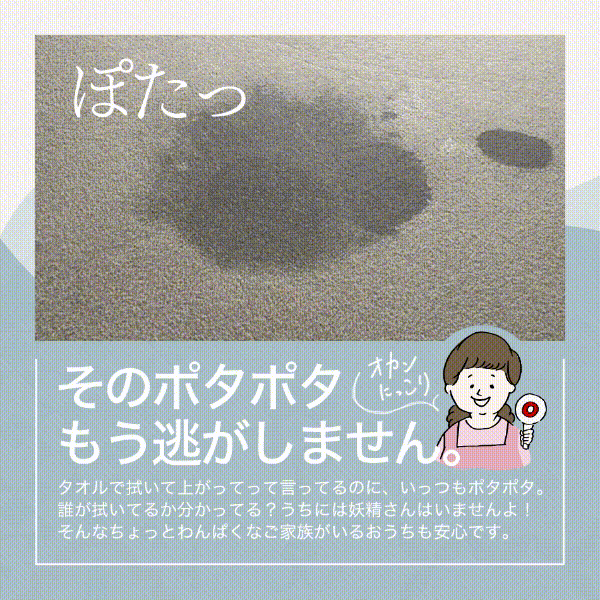 珪藻土 バスマット