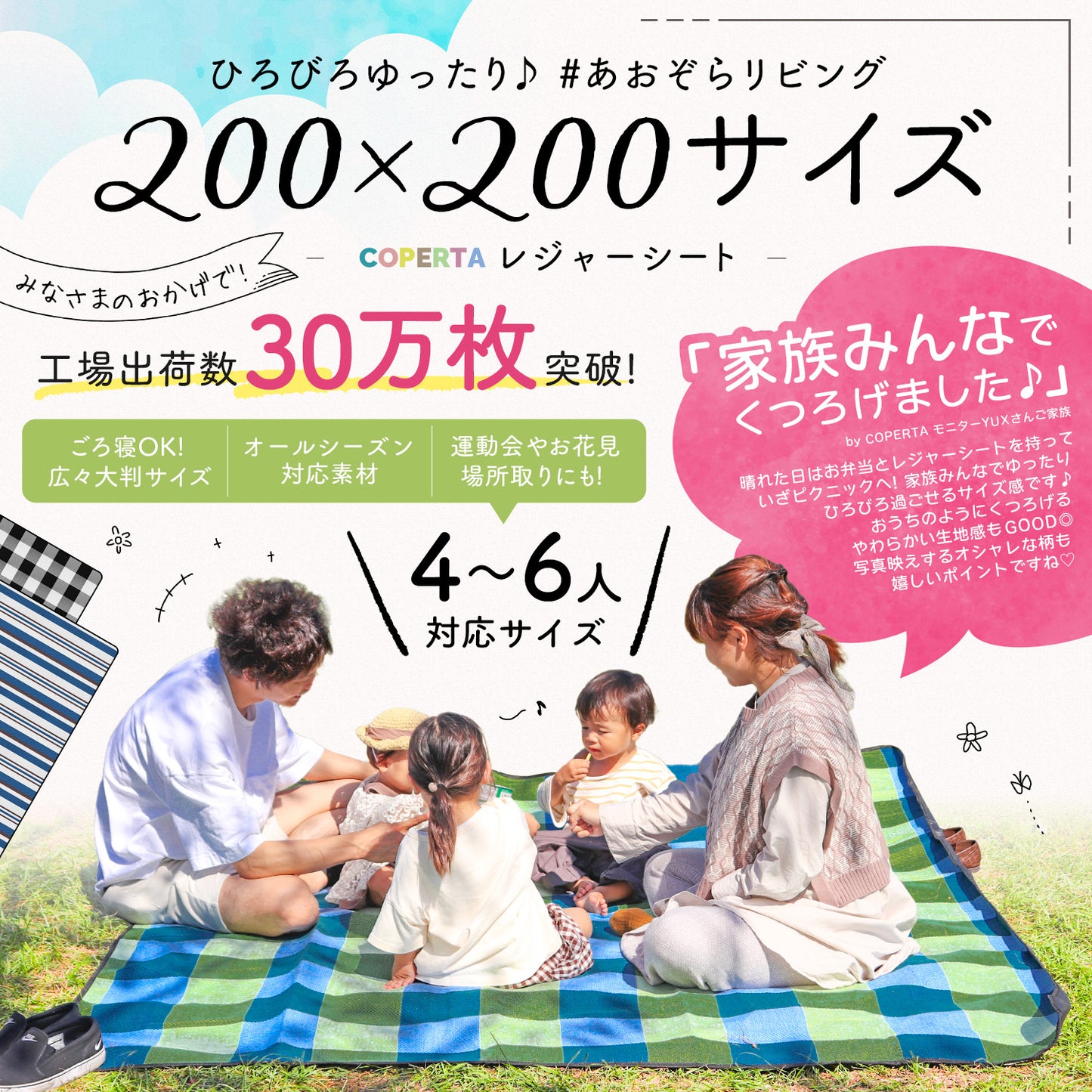 洗える厚手レジャーシート