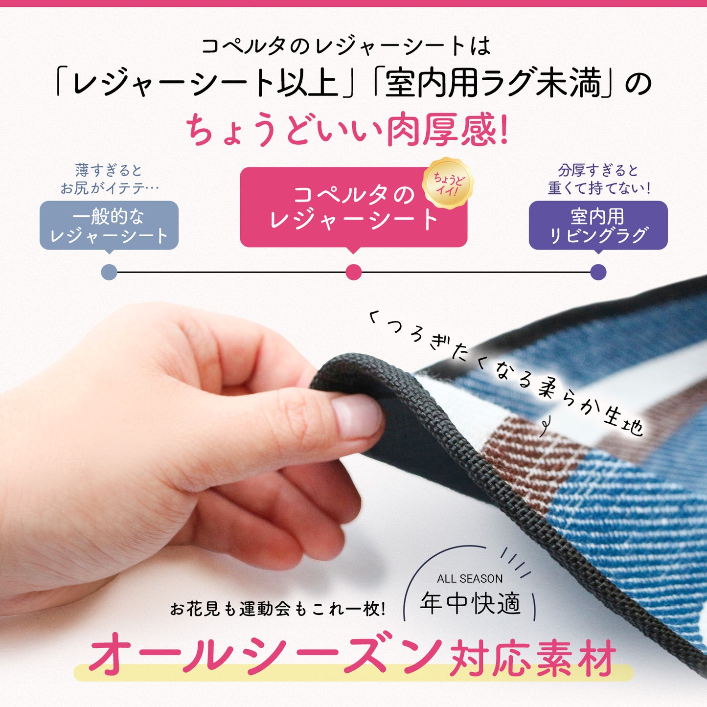 洗える厚手レジャーシート
